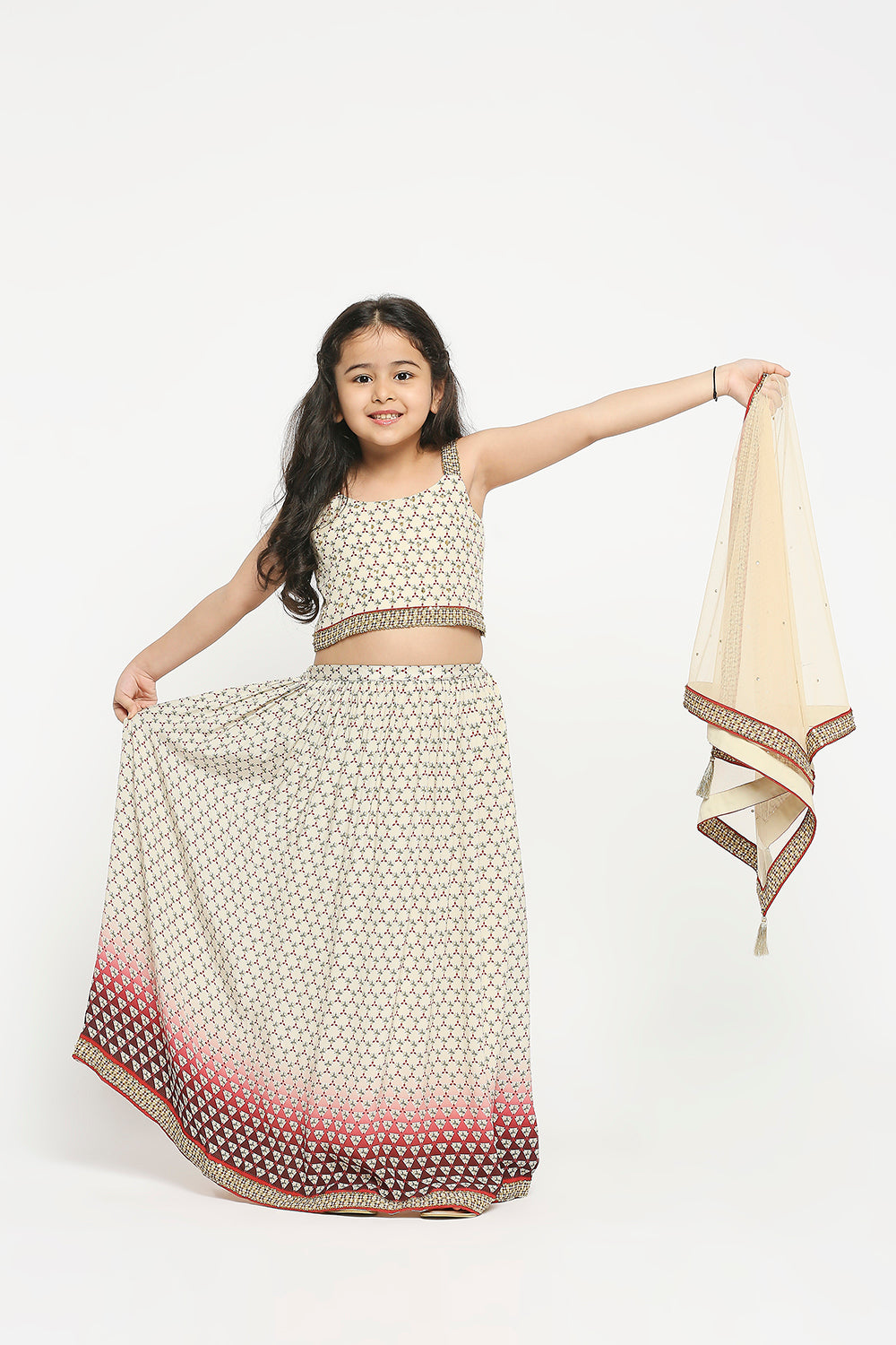 Applique Geometric Printed Lehenga Paired With Crop Top And Net Dupatta